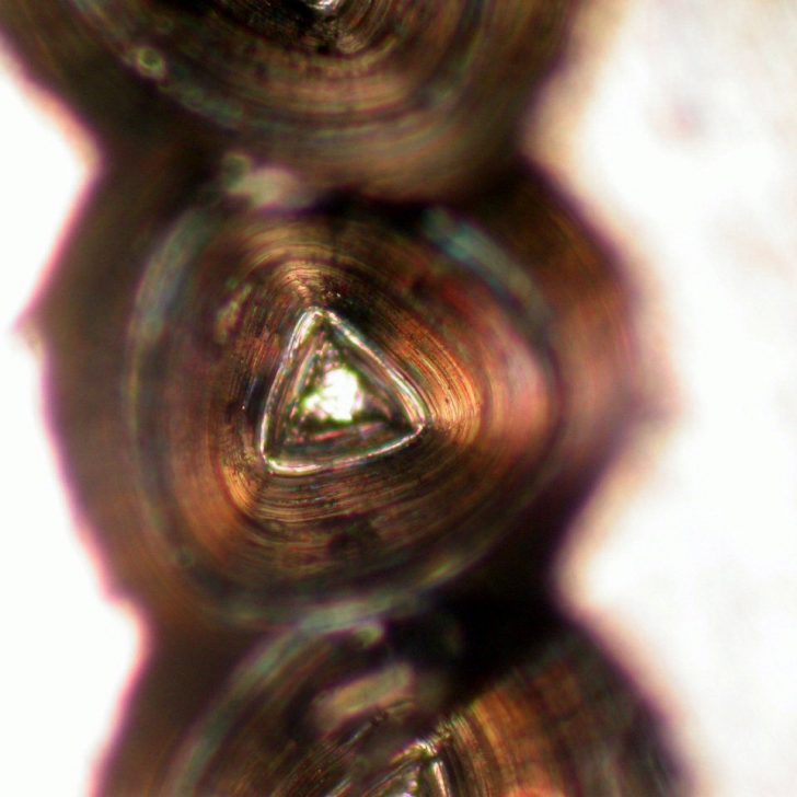 We're not sure how this happened, and we don't think we could do it again if we needed to.