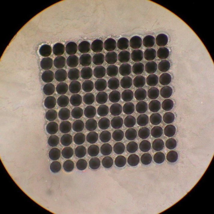 The hole pitch was 120 μm with 5 μm interstitial spacing.