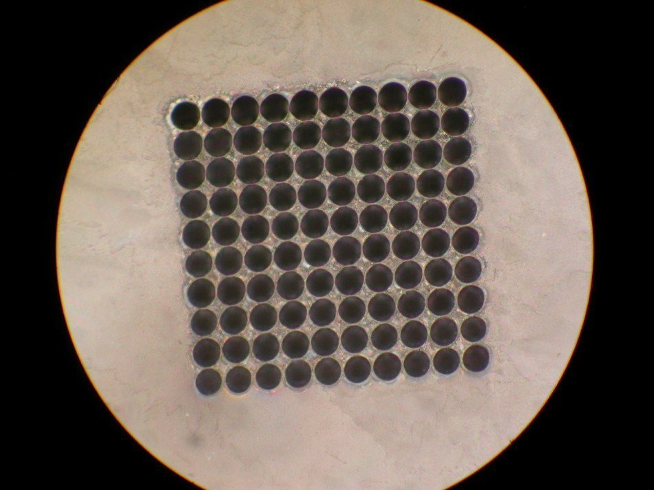 The hole pitch was 120 μm with 5 μm interstitial spacing.