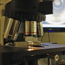 micro inspection service