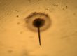 Vial Micro Defect