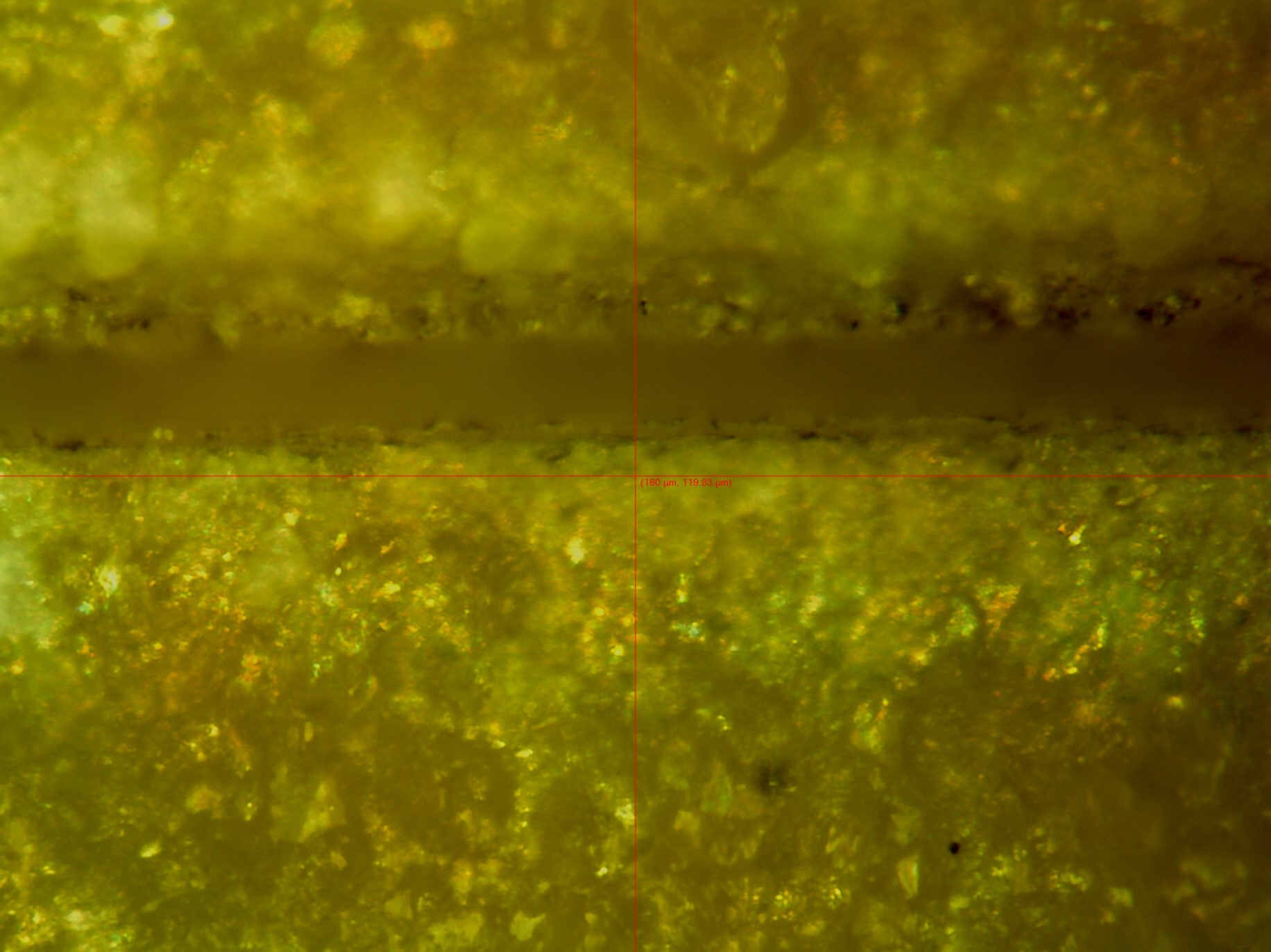 Container Closure Integrity Testing