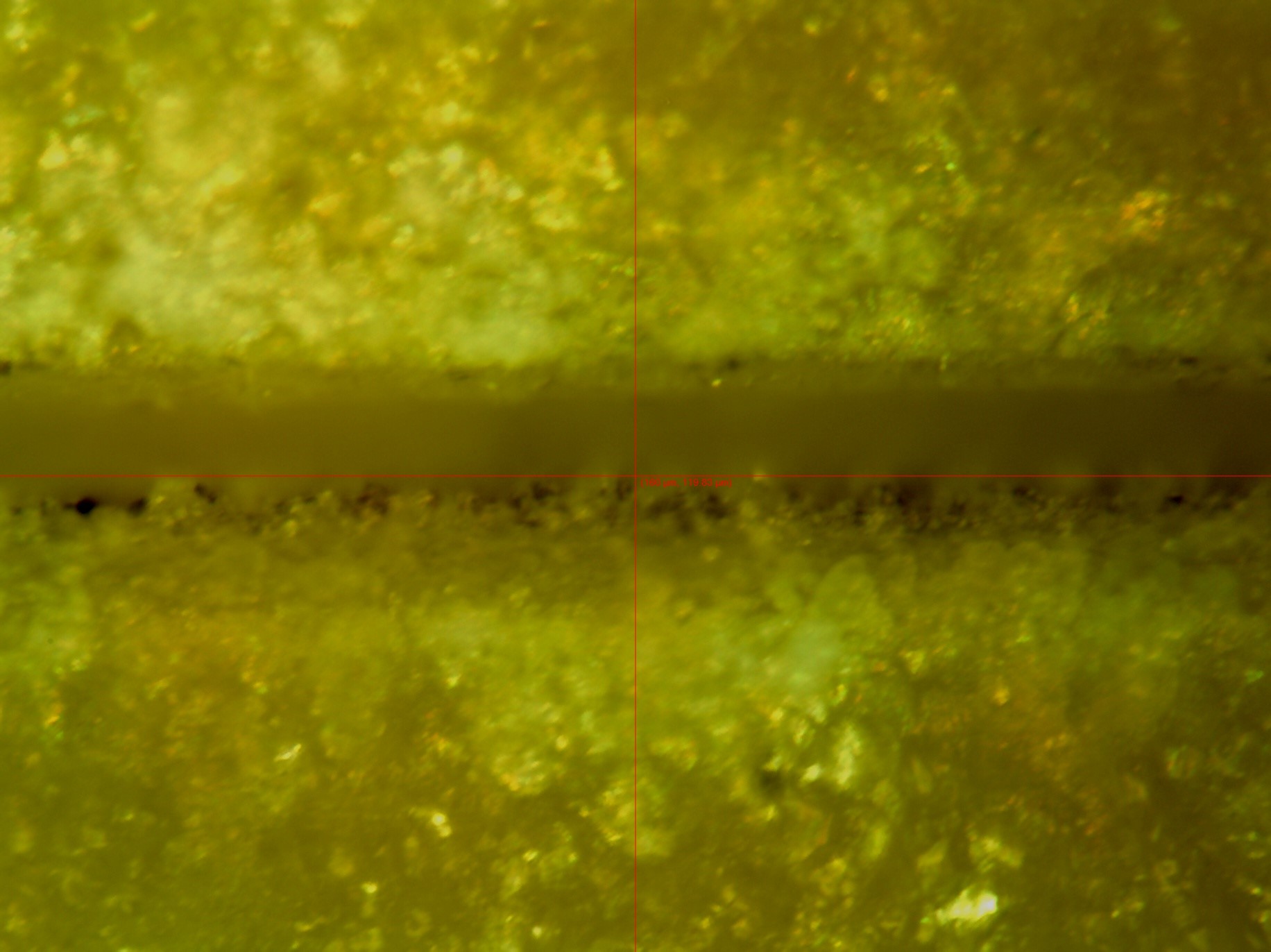 Container Closure Integrity Testing