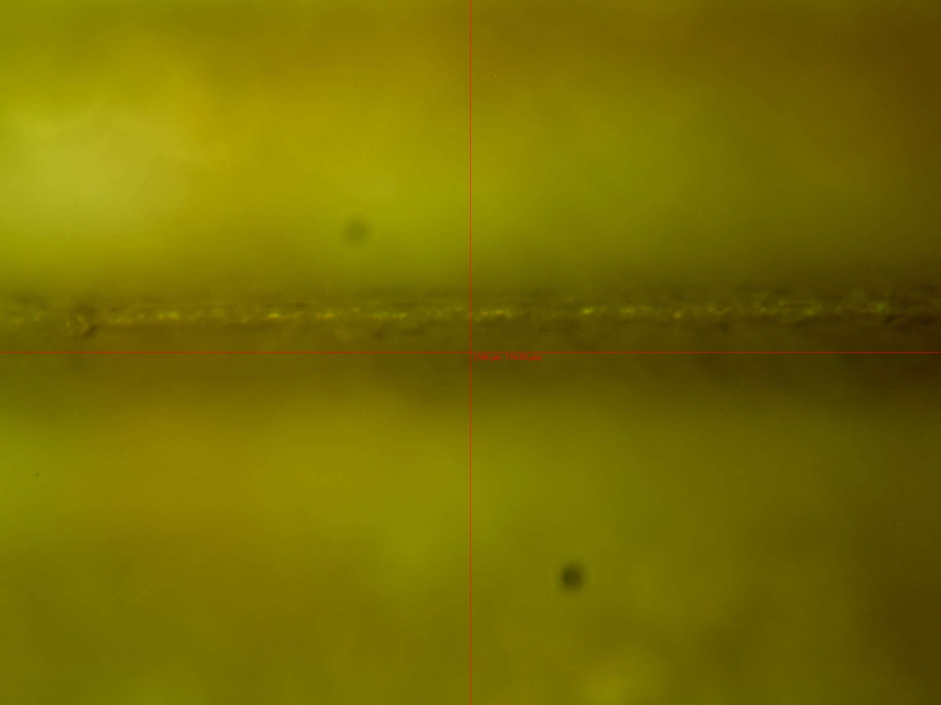 Container Closure Integrity Testing