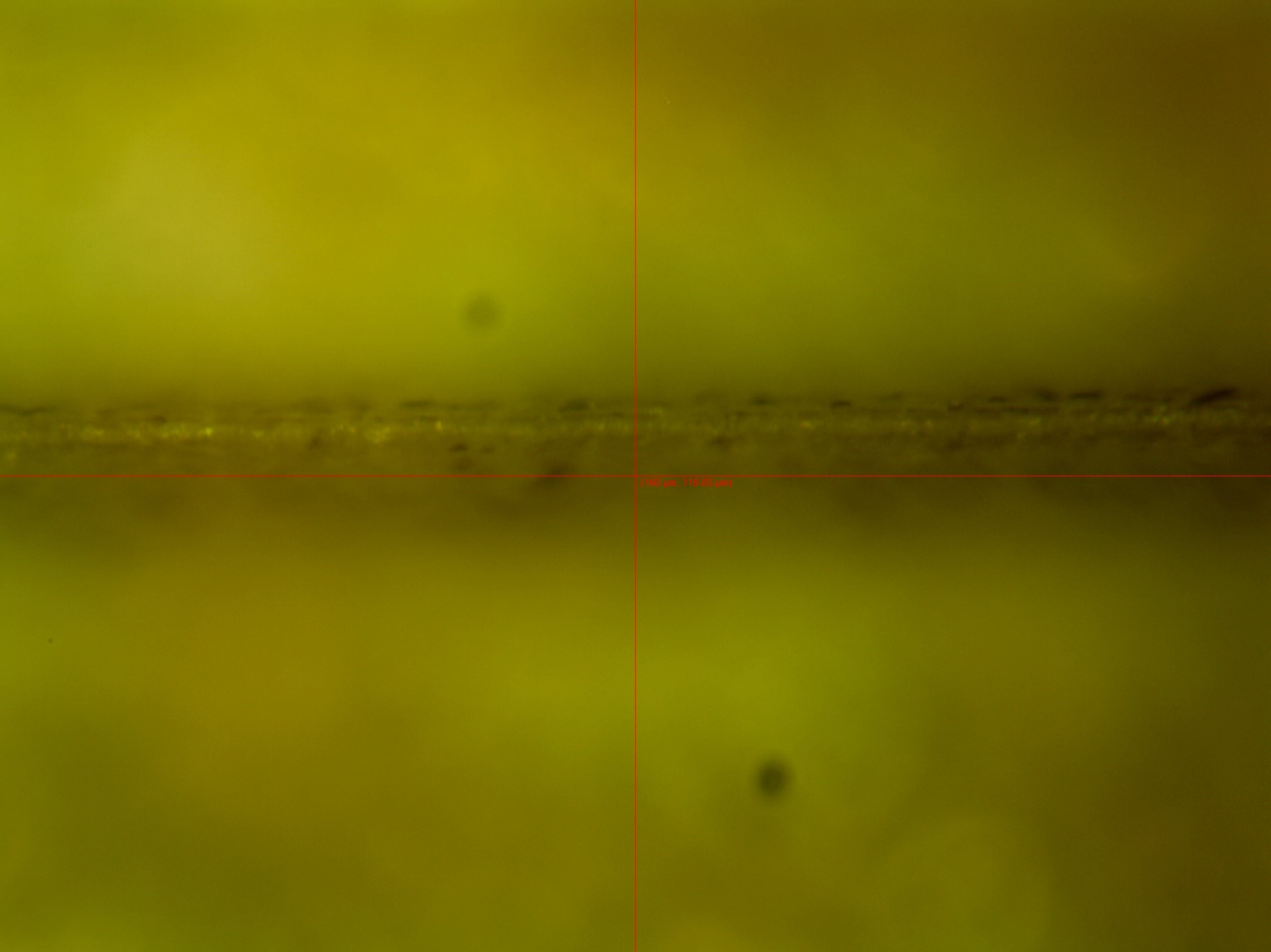 Container Closure Integrity Testing